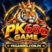 PK 686 Game