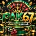 Pak67 Game